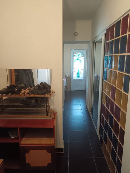 Mosiilor, Pache Protopescu camera vila