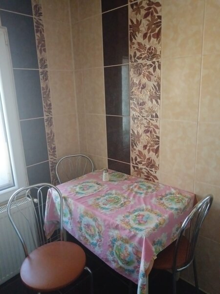 Mosiilor, Pache Protopescu camera vila