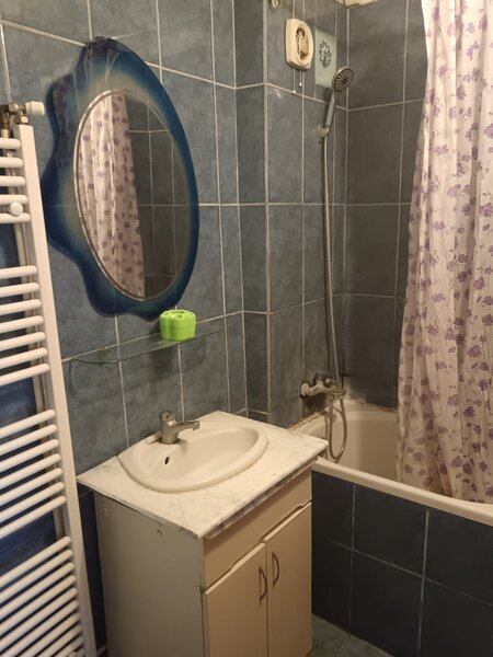 Mosiilor, Pache Protopescu camera vila
